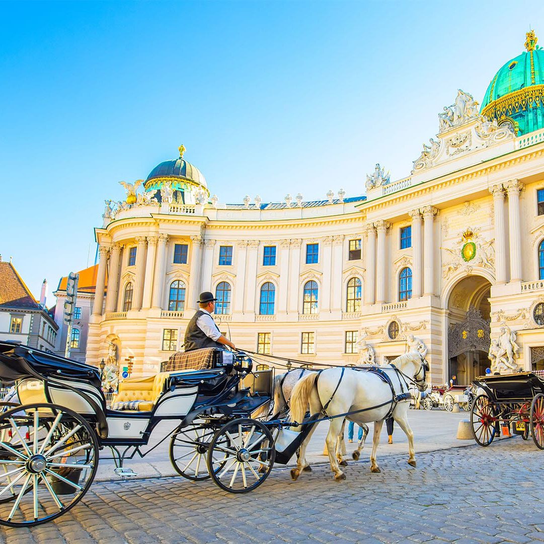 vienna amorette international vienna